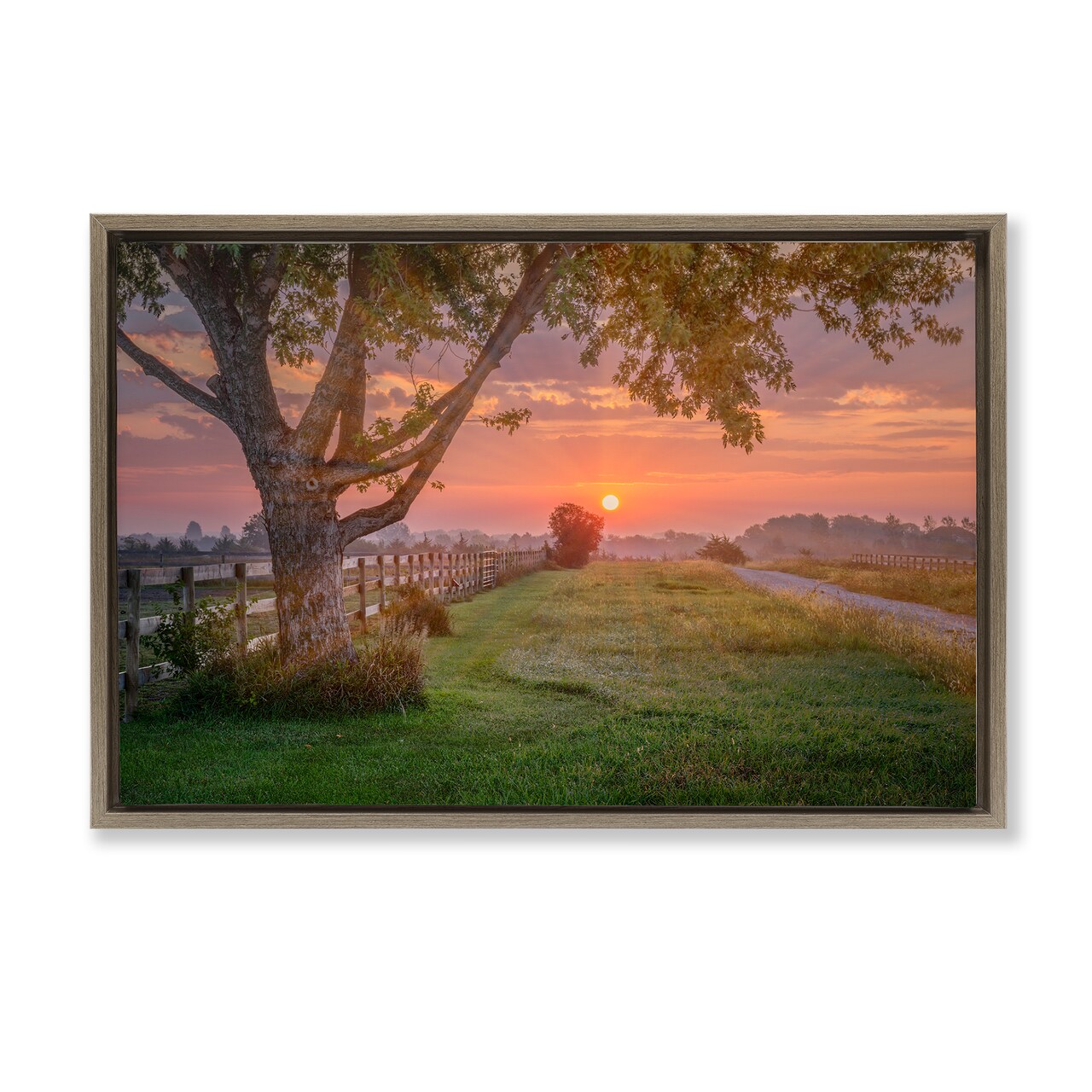 Stupell Industries Bold Sunrise in Countryside Framed Floater Canvas Wall Art Design by Marty Hulsebos